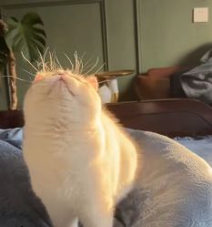 -MASTER 男士发型设计