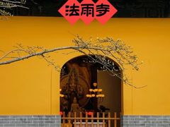 -普陀山风景名胜区-法雨禅寺