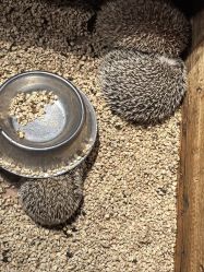 -酷嗒动物文化乐园(cutezoo西溪乐天城店)