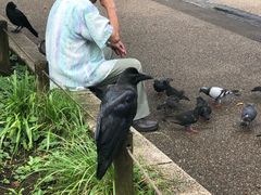 -东京国立博物馆