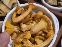 -天宜隆蘑菇宴火锅(石景山旗舰店)
