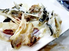 -源港渔村-中山脆肉鲩(博罗店)