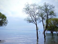 -黄河三峡风景名胜区