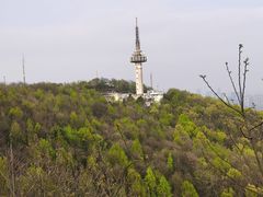 -岳麓山风景名胜区