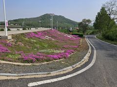 -大连铭湖国际观光牧场