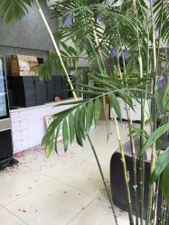 -扬州龙摄影·全球旅拍(维扬路总店)