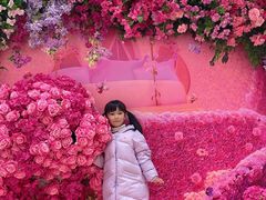 -麦当劳(东苑丽宝商业广场店)