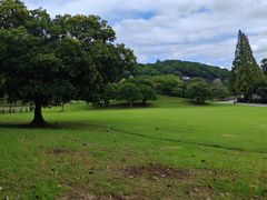 -苏州上方山国家森林公园