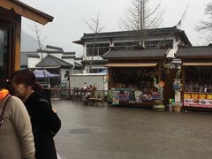 -长兴慧子土特产茶行