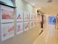 -大美母婴月子中心(馨乐庭店)