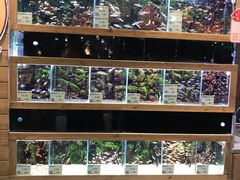-龟与熊猫宠物公园(南坪店)