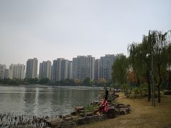 -南翔镇银翔湖公园