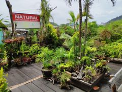 -自然餐厅(Phuket)