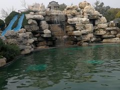 -仁爱团泊湖温泉中心