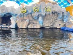 -华夏文旅海洋公园