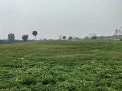 -汉长安城未央宫国家考古遗址公园