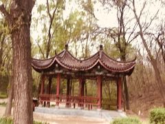 -云岗森林公园