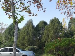 -济南国际园博园