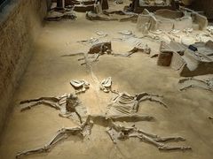 -洛阳周王城天子驾六博物馆