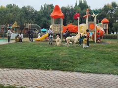 -廊坊固安福朋喜来登酒店