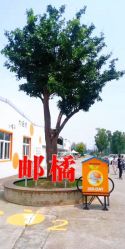 -前小桔亲子创意农场·草莓采摘·露营烧烤