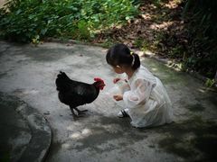 -小洲村