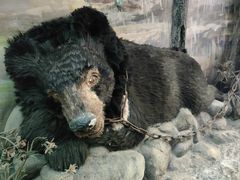 -北京动物园-畅观楼