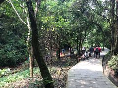 -火炉山森林公园