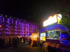 -锦江乐园舞狸花花游园会(夜场专享)