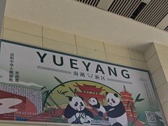 -岳阳东站