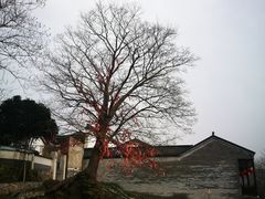 -石塘人家