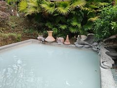 -凤翔首邑温泉度假村
