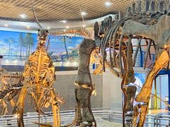 -国家自然博物馆