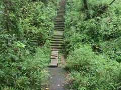 -杭州半山国家森林公园