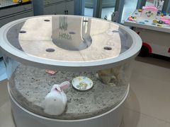 -金光华广场