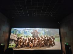 -太平洋影城(深圳8号仓店)