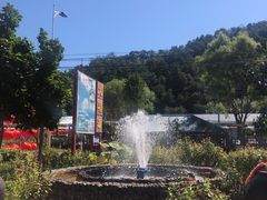 -龙福源密云水库灶台鱼