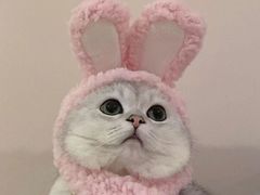 -FullHouse桌游跑团血染剧本杀(南京西路店)