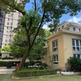 这里可以说是闹中取静