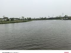 -杭州湾海上花田景区