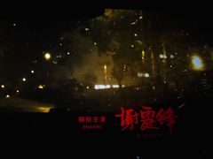 -保定金棕榈先天下国际影城(LUXE)