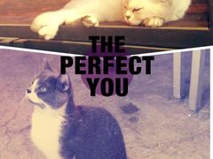 -MIKAKU(万达广场上海宝山店)