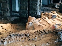 -自贡恐龙博物馆