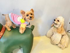 -小意思咖啡店(草桥店)