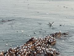 -青岛海滨风景区