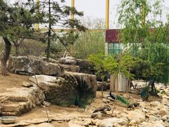 -临沂动植物园