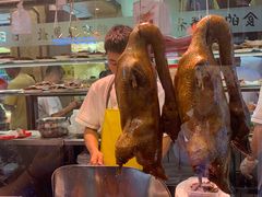 -日日香卤鹅饭店·澄海狮头鹅(澄海店)