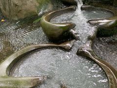 -成都市活水公园