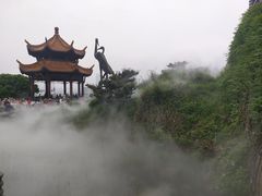 -武汉大学-樱园