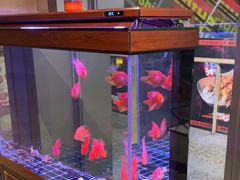 -火塘云南烧烤大排档